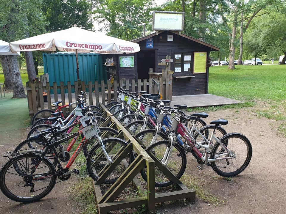 renting de bicicletas y eco-triques